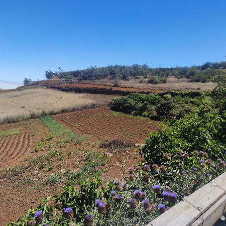 Gáldar Finca El Cercadillo מראה חיצוני תמונה