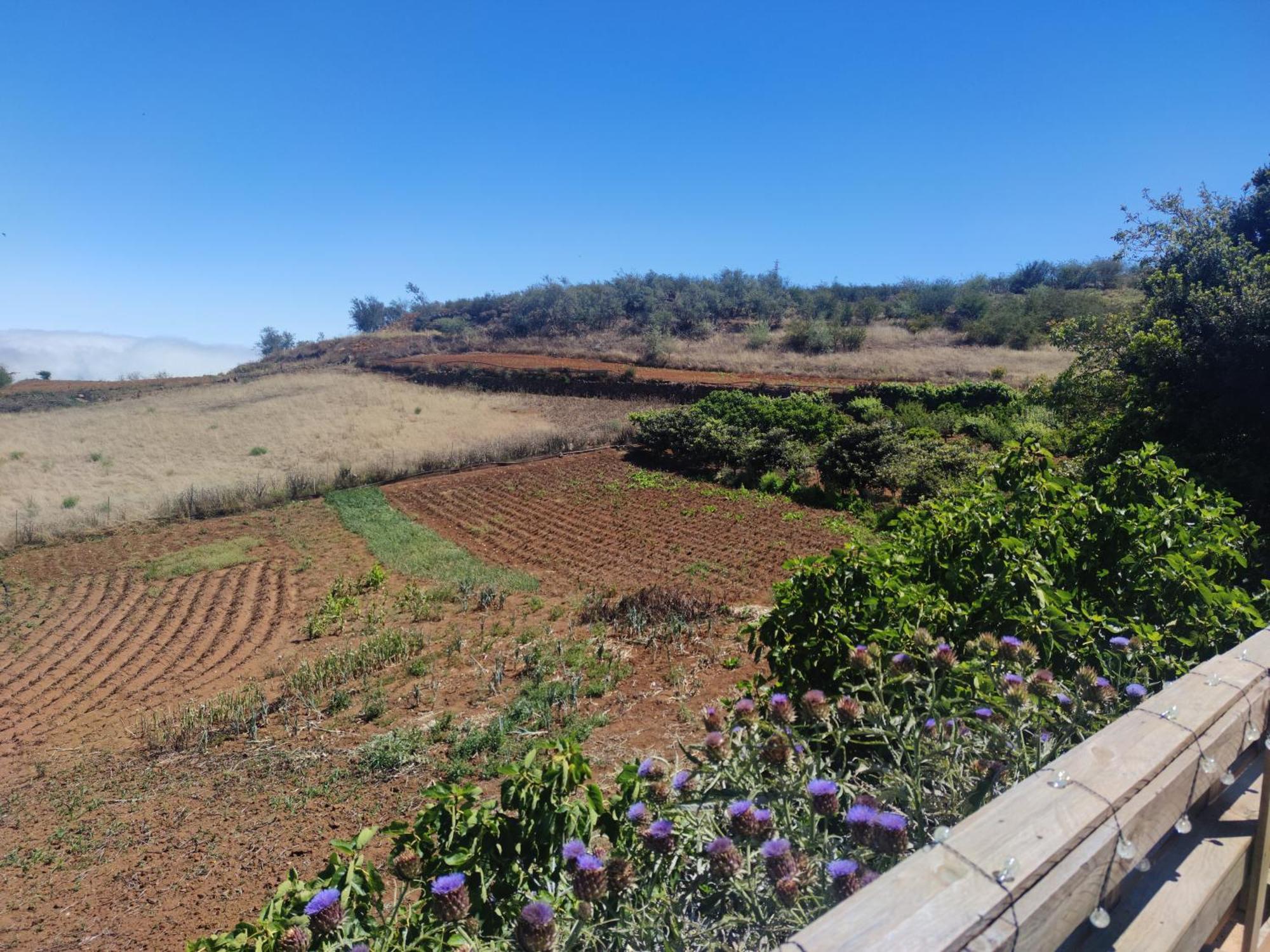 Gáldar Finca El Cercadillo מראה חיצוני תמונה